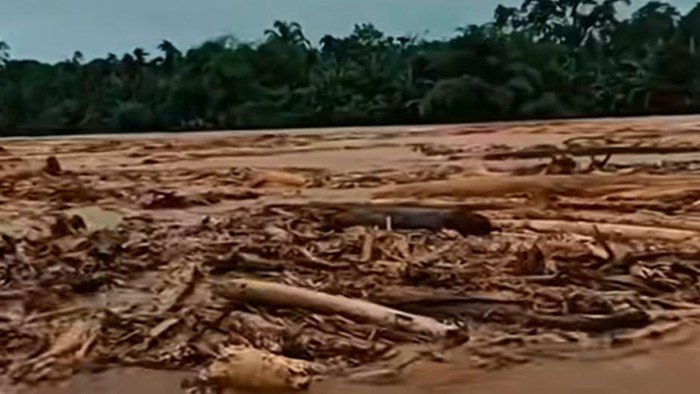 Banjir Sumatra Ungkap Dugaan Illegal Logging: Siapa Pemilik Kayu Gelondongan yang Hanyut?