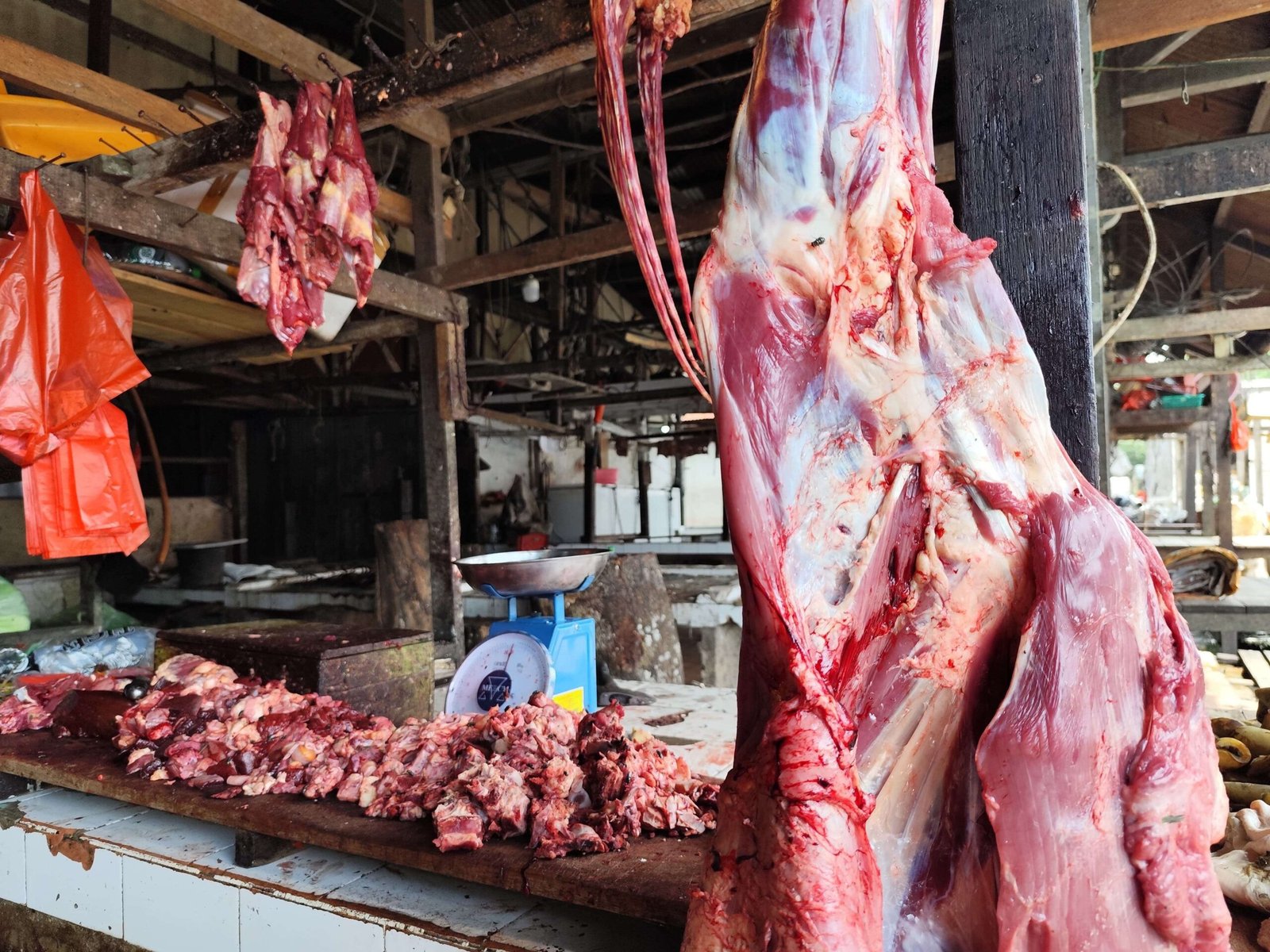 Kementan Jamin Stabilitas Harga Daging Sapi Jelang Nataru 2025/2026